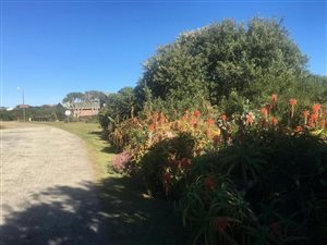 814 m² Land available in Boknesstrand