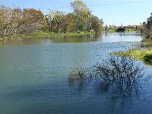 21 ha Farm in Mooiplaats AH