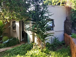 3 Bed House in Norwood