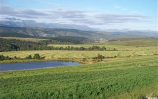 375 ha Farm in Plettenberg Bay