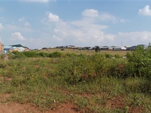 Commercial space in Erasmia