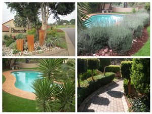 3 Bed Apartment in Newlands