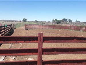 520 ha Farm in Jan Kempdorp