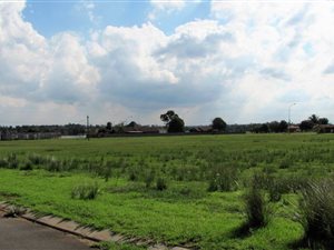 1000 ha Land available in Struisbult