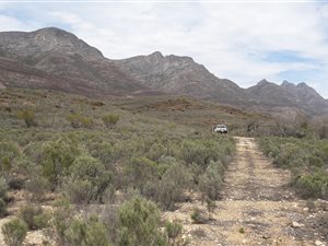 18 ha Farm in Vanwyksdorp