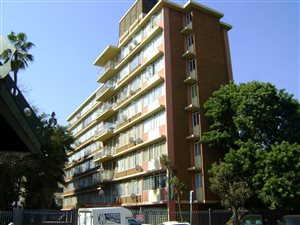 Studio Apartment in Sunnyside