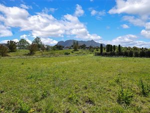 2154 m² Land available in Blanco