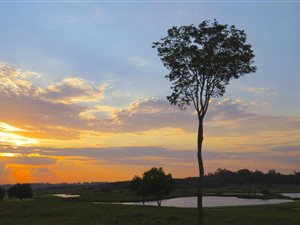 3087 m² Land available in Serengeti