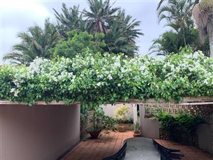 4 Bed House in Southbroom