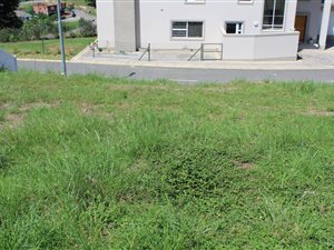 495 m² Land available in Paradise Valley