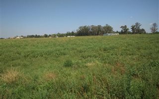 1.8 ha Land available in Vyfhoek