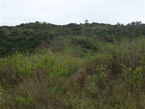 4.7 ha Land available in Craigieburn