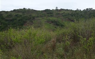 4.7 ha Land available in Craigieburn