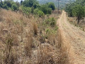 4 ha Land available in Tierpoort
