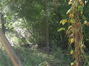 730 m² Land available in Bronkhorstbaai