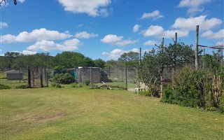 14.2 ha Farm in Grahamstown Central
