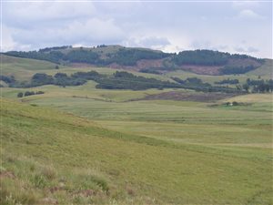 21 ha Farm in Winterton