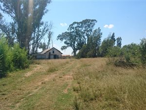 1241 ha Farm in Viljoenskroon