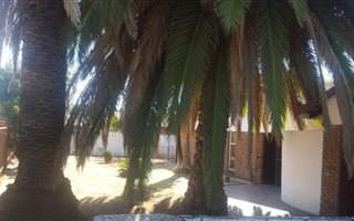 3 Bedroom House in Ivy Park