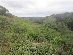 1916 m² Land available in Forest Hills