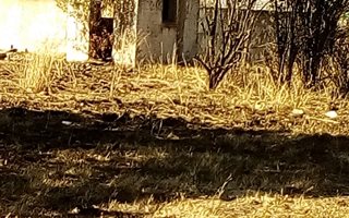 2 ha Land available in Louisrus