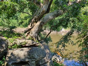 4.8 ha Land available in Highlands