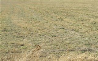 2.1 ha Land available in Mooilande