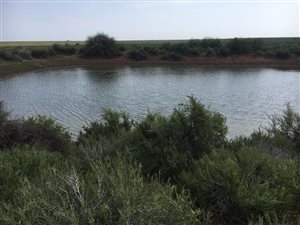 4299 ha Farm in Douglas