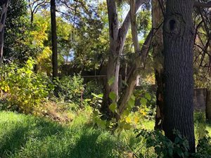 1555 m² Land available in Atholl