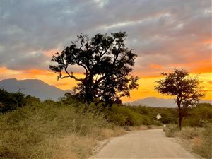 1 ha Land available in Moditlo Nature Reserve