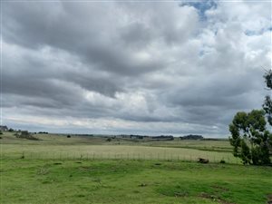 457 ha Farm in Middelburg Central