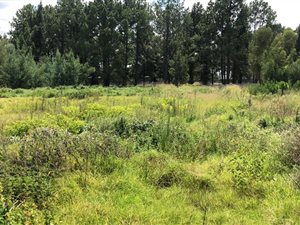 4.6 ha Land available in Meadowdale