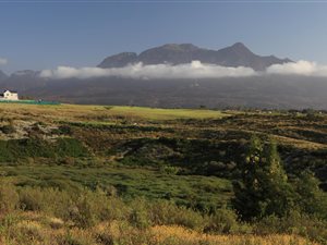 1842 m² Land available in Kingswood Golf Estate