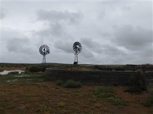 8960 ha Farm in Williston