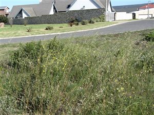 660 m² Land available in Witsand