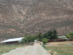 293.4 ha Farm in Laingsburg