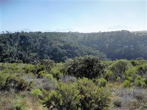 965 m² Land available in Oubaai and surrounds