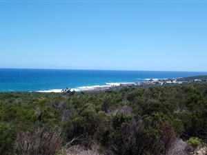 35 ha Farm in Stilbaai