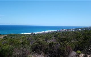 35 ha Farm in Stilbaai