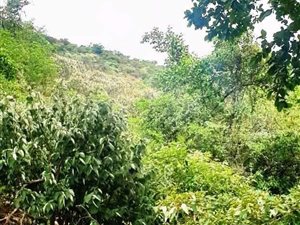 1.8 ha Land available in Pretoria North