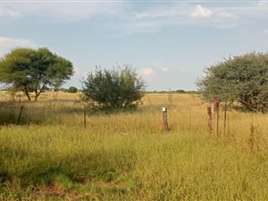 21 ha Farm in Bela-Bela (Warmbaths)