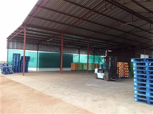 737 ha Farm in Alldays