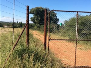 300 ha Farm in Polokwane Central