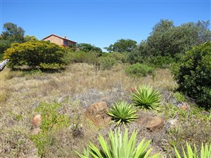 1165 m² Land available in Kleinemonde