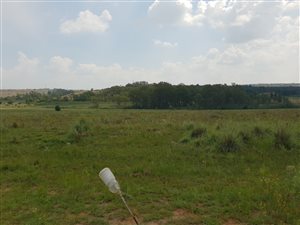 5.1 ha Land available in Donkerhoek