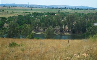 1.4 ha Farm in Parys