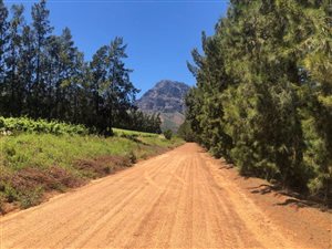 10 ha Farm in Northern Paarl