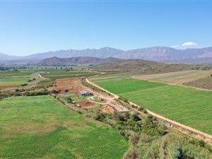 378 ha Farm in Bonnievale