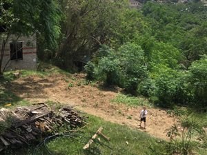2600 m² Land available in Sea View