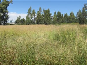 1.6 ha Land available in Vyfhoek